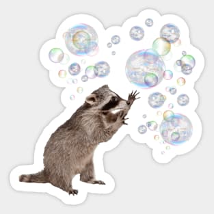 Bubbles the Raccoon 2 Sticker